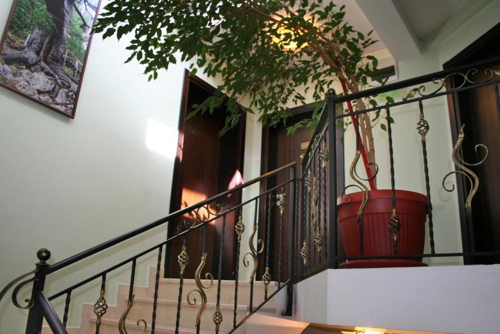 Family Hotel Zora Razlog Luaran gambar